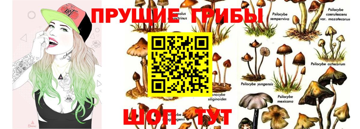 Псилоцибиновые грибы Magic Shrooms  Галлюциногенные грибы Psilocybe  Туапсе  Вход с VPN 