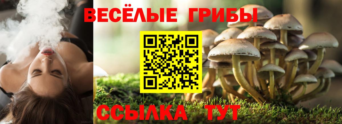 Псилоцибиновые грибы Magic Shrooms Туапсе